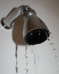 shower leak repair